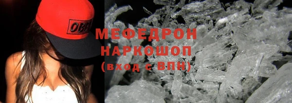 сатива Новодвинск
