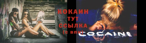 твердый Алексеевка
