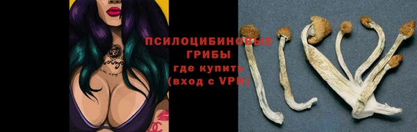 МДПВ Белая Холуница