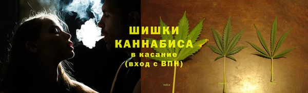 сатива Новодвинск