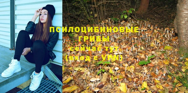 jwh Новокубанск