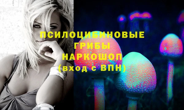сатива Новодвинск
