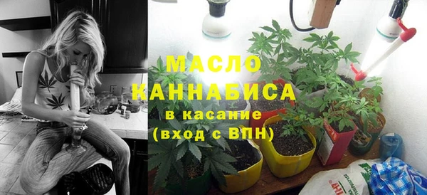сатива Новодвинск