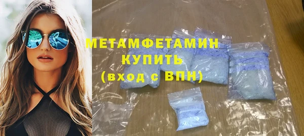 сатива Новодвинск