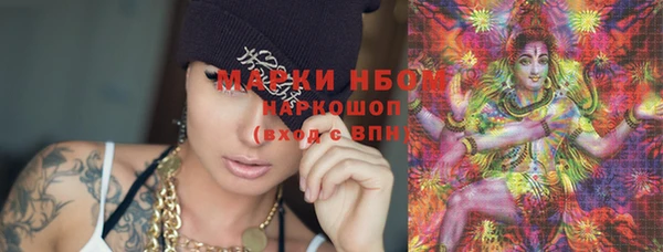 хмурый Новозыбков