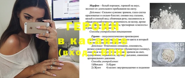 сатива Новодвинск