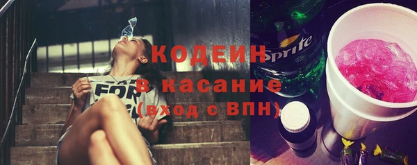 сатива Новодвинск