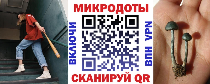 закладка  Петров Вал  Псилоцибиновые грибы GOLDEN TEACHER 